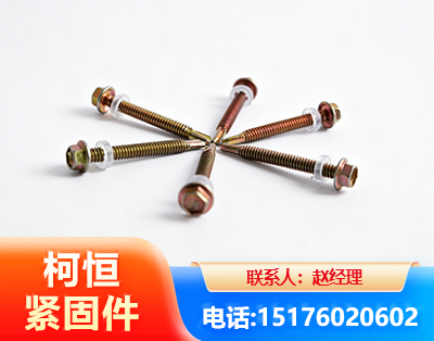 丽水六角钻尾丝