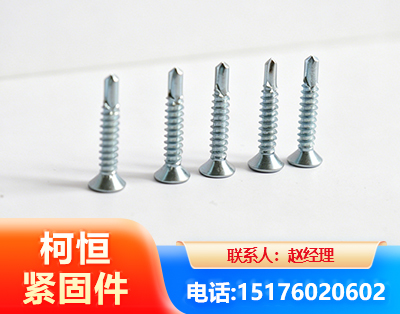 丽水平头钻尾丝